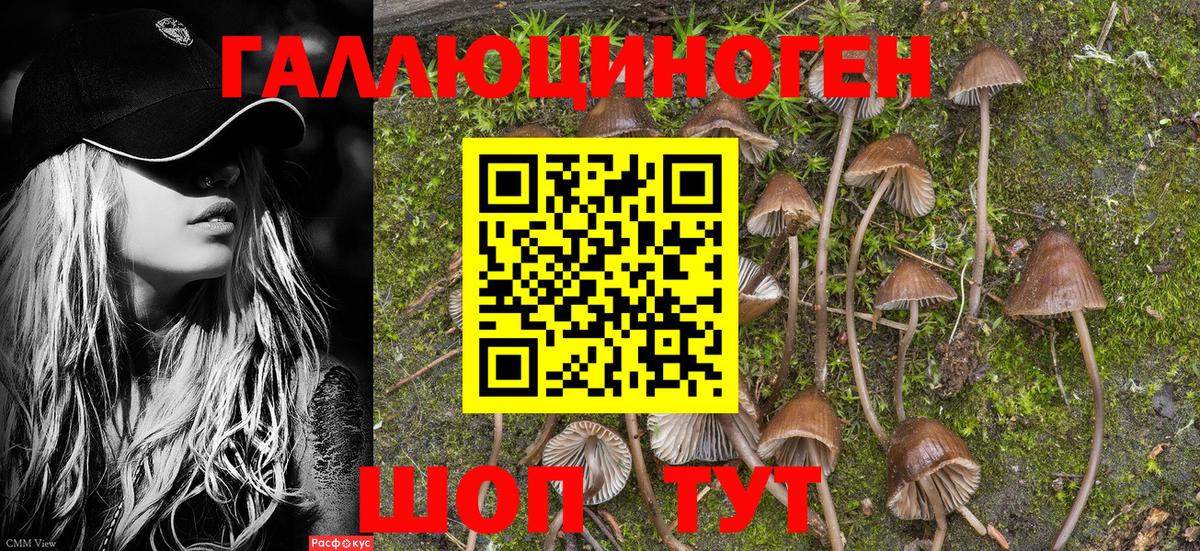 Псилоцибиновые грибы GOLDEN TEACHER  наркота  Сызрань  Вход с VPN 